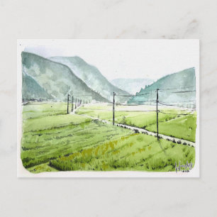 86: Morning rice field Postcard