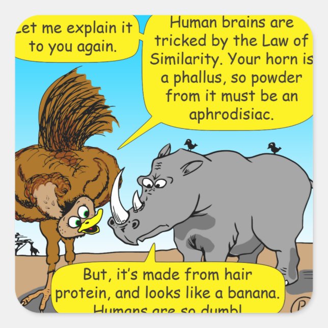 889 Rhino phallus cartoon Square Sticker (Front)