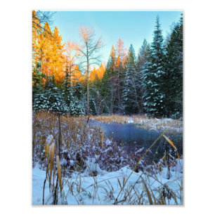 8.5"x11" Photo Print    Last Light