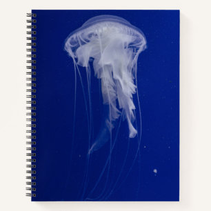 8.5" x 11" Spiral Notebook