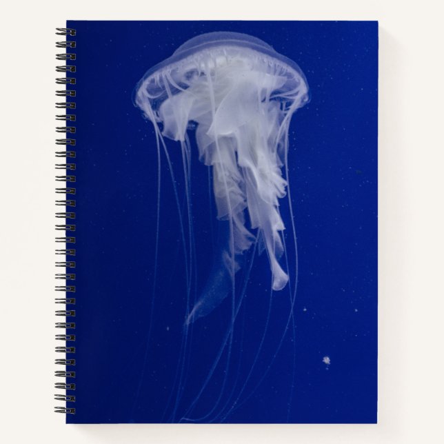 8.5" x 11" Spiral Notebook (Front)