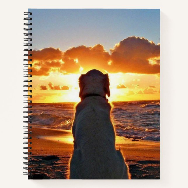 8.5" x 11" Spiral Notebook (Front)