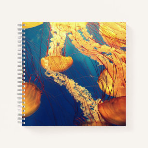 8.5" x 8.5" Spiral Notebook