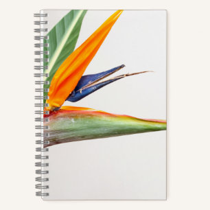 8.5" x 8.5" Spiral Notebook