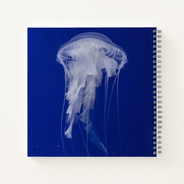 8.5" x 8.5" Spiral Notebook (Back)