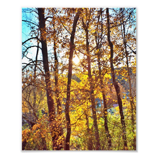 8 by 10 my view photo print (Front)