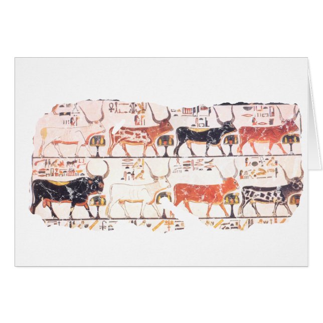8 cows (Front Horizontal)
