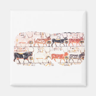 8 cows magnet