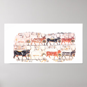 8 cows poster