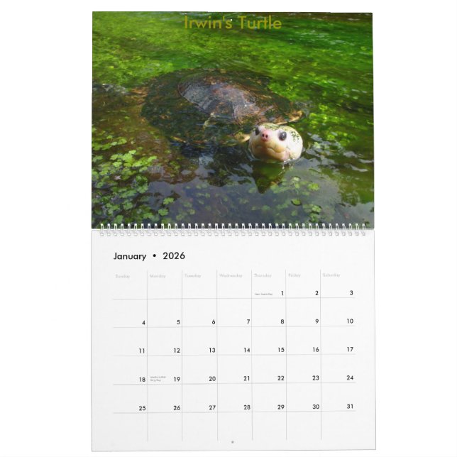 8 Month Australian Freshwater Turtle Calendar (Jan 2026)