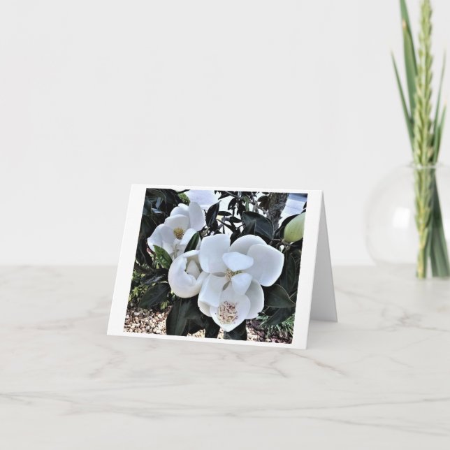 8 Pack of Magnolia Flower note Cards (Front)
