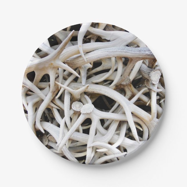 8 Paper Plate Elk Antlers (Front)
