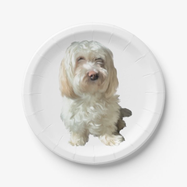8 Paper Plate White Havanese (Front)