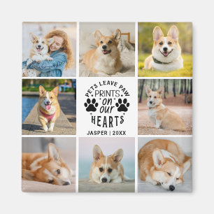 8 Photo Collage Pet Memorial Remembrance  Magnet