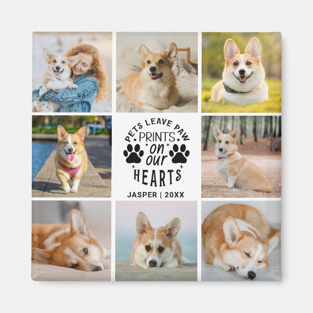 8 Photo Collage Pet Memorial Remembrance  Magnet (Front)