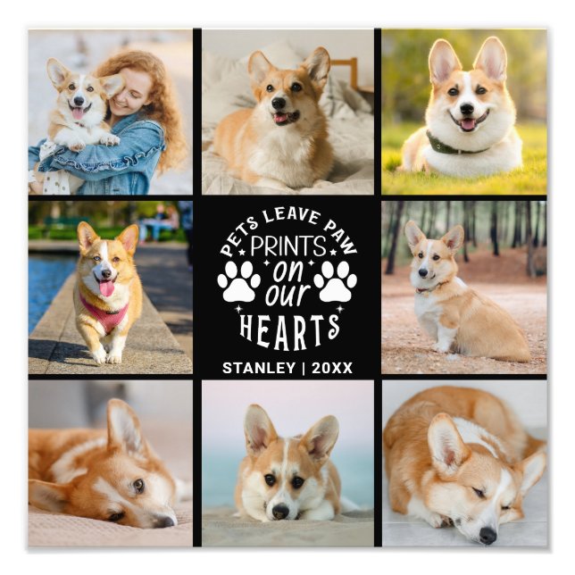 8 Photo Collage Pet Remembrance Photo Enlargement Print (Front)
