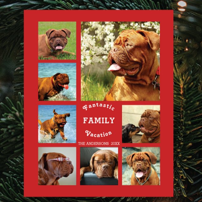 8 Picture Family Photo ✨ Custom Memories Plaque (Christmas Gift Idea)