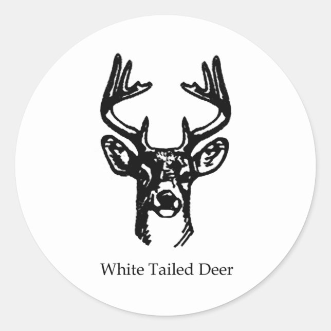 8 Point Buck White Tail Deer Classic Round Sticker (Front)