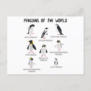 8 Rarest Penguins of the World - Funny Animals Announcement Postcard