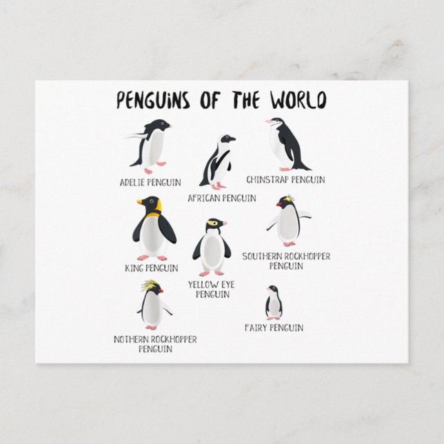 8 Rarest Penguins of the World - Funny Animals Announcement Postcard (Front)
