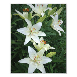 8"x10" White Lilies Photo Print
