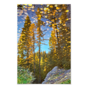 8”x12” Photo Print    Mountain Puddle