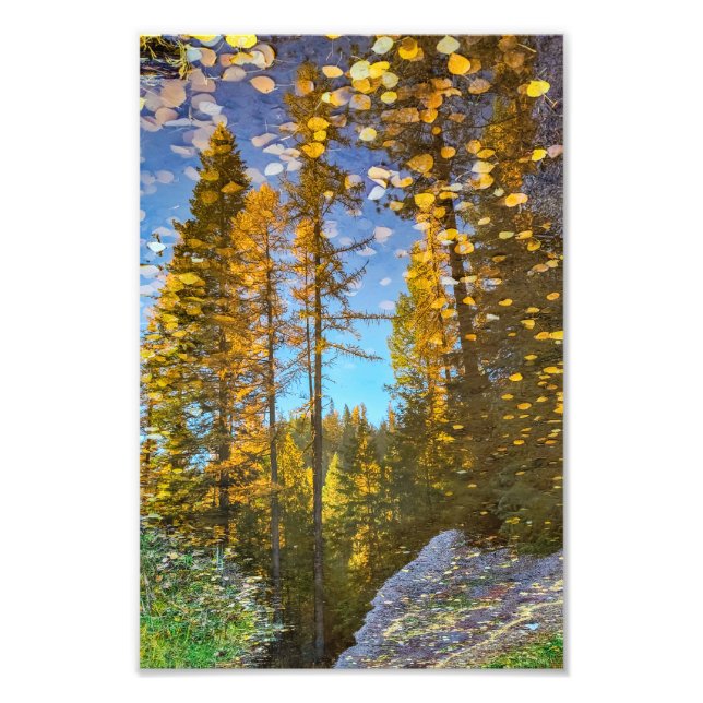 8”x12” Photo Print || Mountain Puddle (Front)