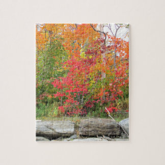 8" x 10" Puzzle 110 Pieces Autumn Leaves