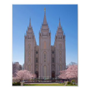 8 X 10 Salt Lake Temple with trees in pink blooms. Photo Print