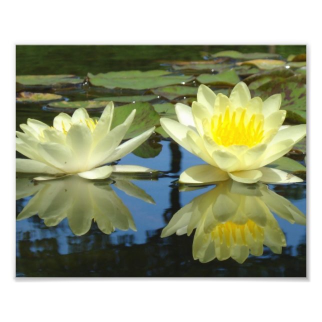 8x10 Mellow Yellow Photo Print (Front)