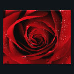 8x10 Photo print<br><div class="desc">8x10 Photo print</div>