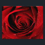 8x10 Photo print<br><div class="desc">8x10 Photo print</div>