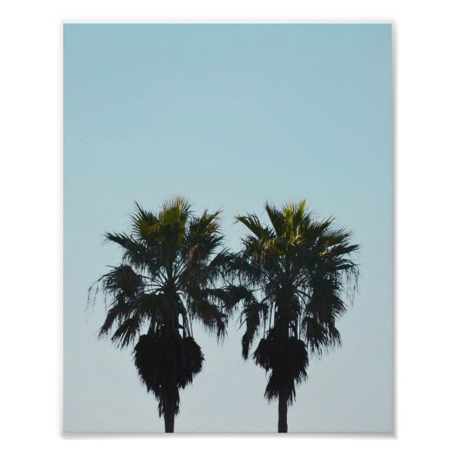 8x10 Summer Palm Trees Photo Print (Front)