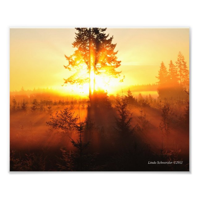 8X10 Sunrise Fog in the Pacific Northwest Photo Print (Front)
