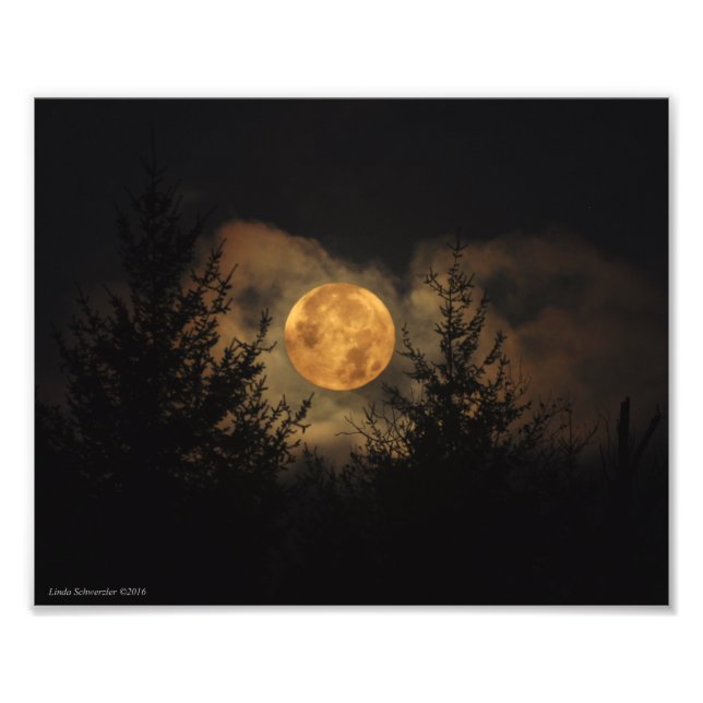 8X10 Super Moon 11-14-16 Photo Print (Front)
