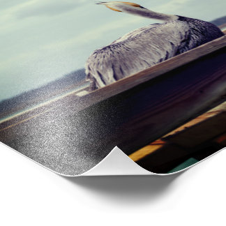 8x12 Photo - "Chillin' Pelican" St. Augustine, FL Print