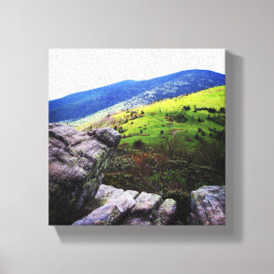 8x8 Canvas - Roan Mountain