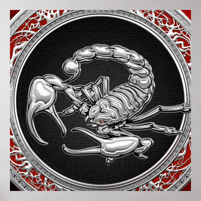 [900] Sacred Silver Scorpion on Black Poster (Front)