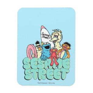 90's Sesame Street Vintage Surf Magnet