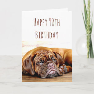 90th Birthday Sad Dog Stay Pawsitive Humor Card