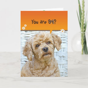 94th birthday brown poodle on wicker card
