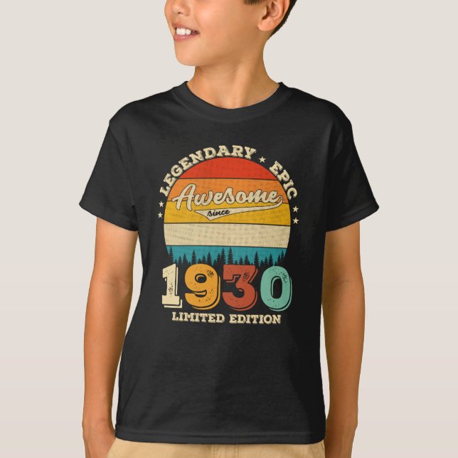 95 Year Old Bday Retro Awesome 95th Birthday Gift T-Shirt (Front)