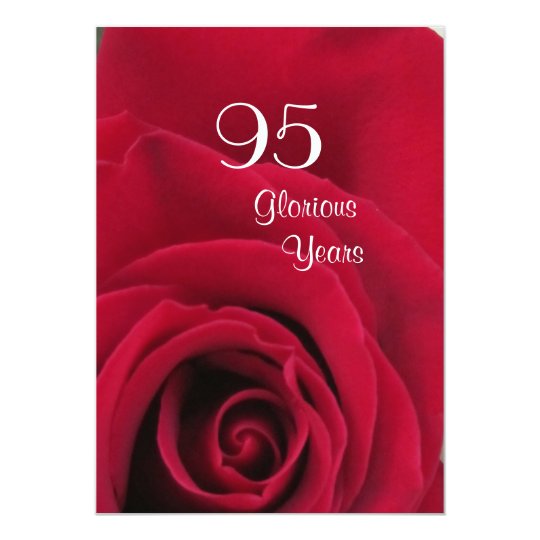 95th Birthday Celebration!-Deep Red Rose Card