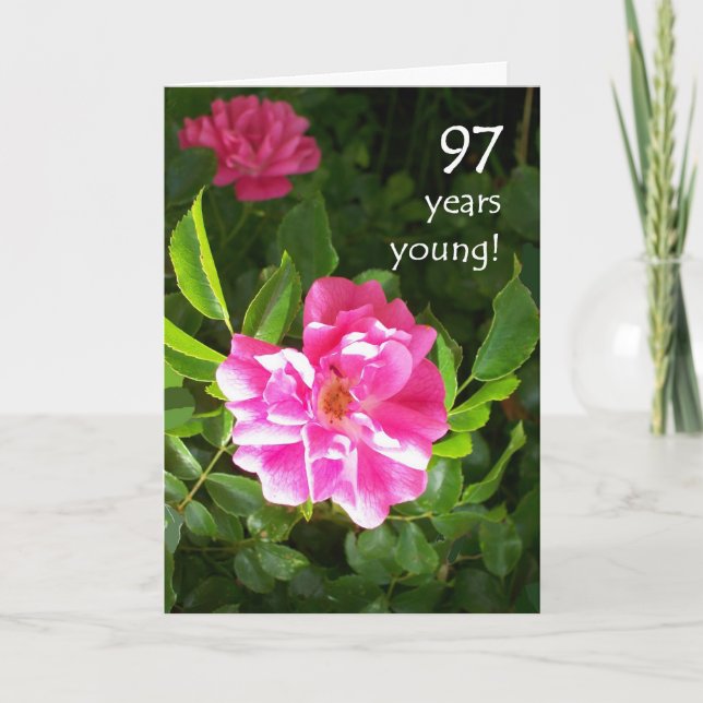97th Birthday Card - Pink Roses (Front)