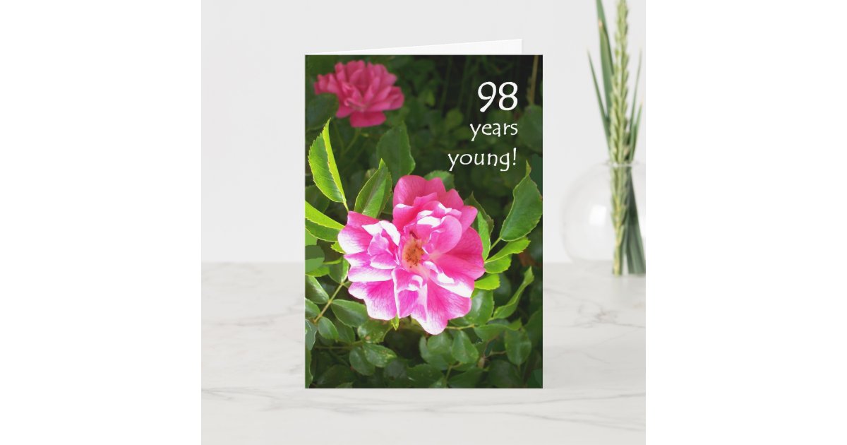 98th Birthday Card Pink Roses Zazzle 3534