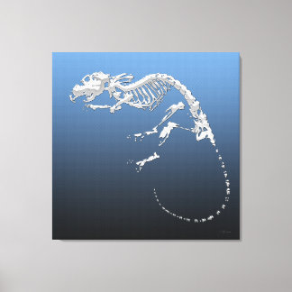 999.9: Fossil Canvas Print