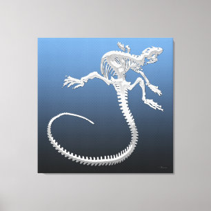 999.9: Iguana Skeleton Canvas Print