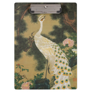 9. 老松孔雀図, 若冲 Old Pine-tree and Peacock, Jakuchū Clipboard