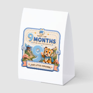 9 Months Baby Milestone Little Explorer