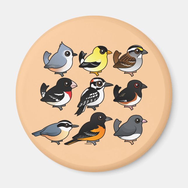 9 Northeast USA Backyard Birds Magnet (Front)